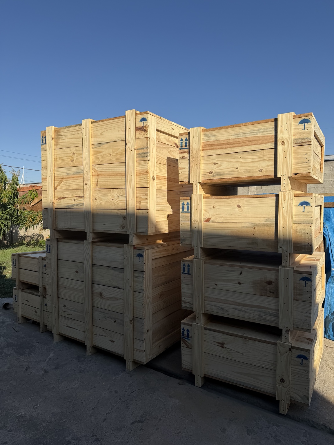 Conjunto de caixas de madeira em tábuas de pinus